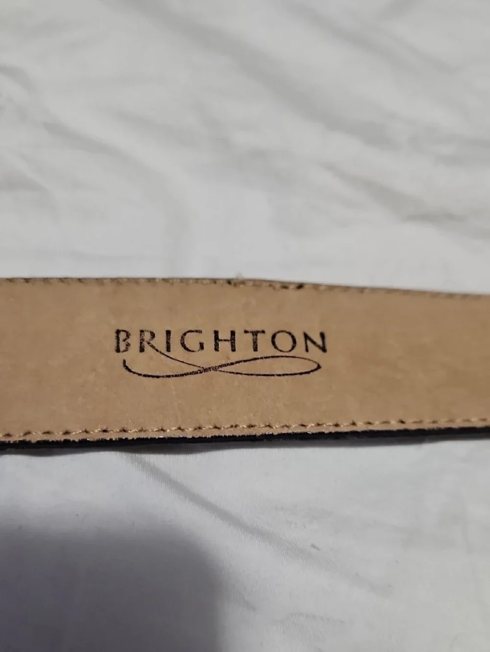 Brighton decorative croc